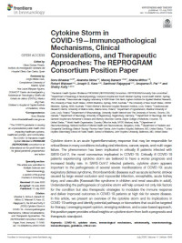 Image of Cytokine storm in Covid-19-Immunopathological mechanisms, clinical considerations, and therapeutic approaches: The REPROGRAM Consortium Position Paper