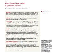 Image of Acute Stroke Intervention A Systematic Review
