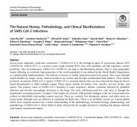 Image of The Natural History, Pathobiology, and Clinical Manifestations of SARS-CoV-2 Infections