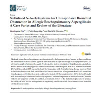 Image of Nebulised N-Acetylcysteine for Unresponsive Bronchial Obstruction in Allergic Brochopulmonary Aspergillosis: A Case Series and Review of the Literature