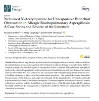 Image of Nebulised N-Acetylcysteine for Unresponsive Bronchial Obstruction in Allergic Brochopulmonary Aspergillosis: A Case Series and Review of the Literature