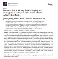Image of Issues of Acute Kidney Injury Staging and Management in Sepsis and Critical Illness: A Narrative Review