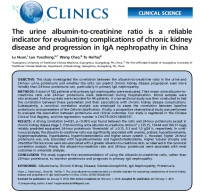 Image of The urine albumin-to-creatinine ratio is a reliable indicator for evaluating complications of chronic kidney disease and progression in IgA nephropathy in China