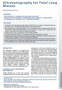 Image of Ultrasonography for Fetal Lung Masses