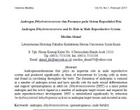 Image of Androgen Dihydrotestosterone dan Perannya pada Sistem Reproduksi Pria
