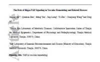 Image of The Role of Hippo/YAP Signaling in Vascular Remodeling and Related Diseases