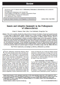 Image of Innate and Adaptive Immunity in the Pathogenesis of Atherosclerosis