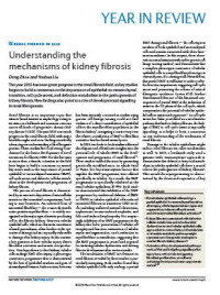 Image of Understanding the mechanisms of kidney fibrosis