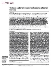 Image of Cellular and molecular mechanisms of renal fibrosis