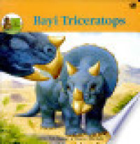 Image of Bayi Triceratops