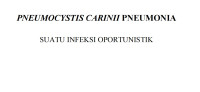 Image of PNEUMOCYSTIS CARINII PNEUMONIA : Suatu infeksi Oportunistik