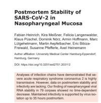 Image of Postmortem Stability of SARS-CoV-2 in Nasopharyngeal Mucosa