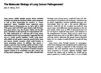Image of The Molecular Biology of Lung Cancer Pathogenesis
