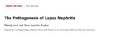 Image of The Pathogenesis of Lupus Nephritis
