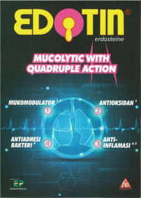 Image of Impact of erdosteine on chronic bronchitis and COPD: A meta-analysis