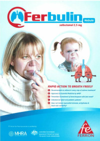 Image of Global strategy for asthma management and prevention update 2017