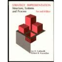 Image of Strategy implementation: structure, systems and process, 2nd ed