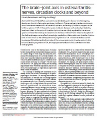 Image of The brain–joint axis in osteoarthritis: nerves, circadian clocks and beyond